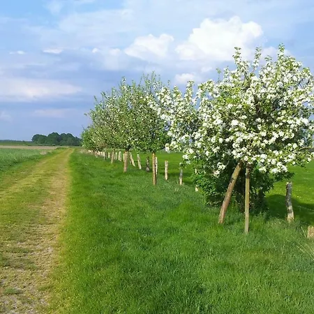 شقة Grooten Wiebkings Schneeren