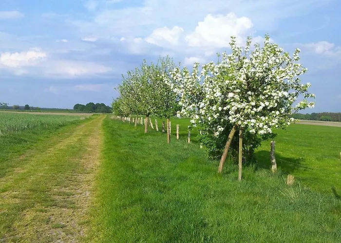 Appartement Grooten Wiebkings Schneeren