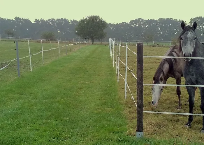 Grooten Wiebkings Appartement Schneeren