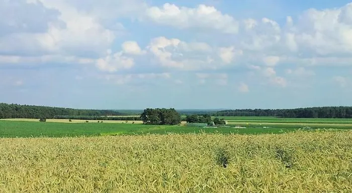 Appartement Grooten Wiebkings